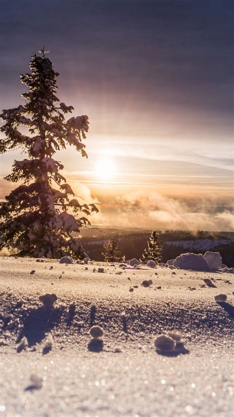 Download Wallpaper Perfect Winter View 750x1334