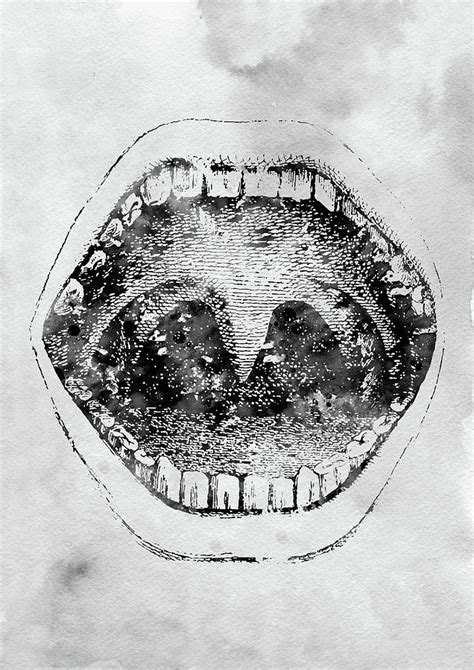 Human Mouth Digital Art By Erzebet S Fine Art America