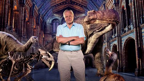 David Attenboroughs Natural History Museum Alive Abc Iview