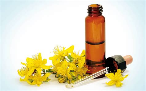 While becoming friends with the dogs took 2 days, getting along with the cats without hissing and growling (first on both sides, then just the older cats) and even snuggling together took 2 months. Bach flower remedies: Flowers that heal | Complete Wellbeing