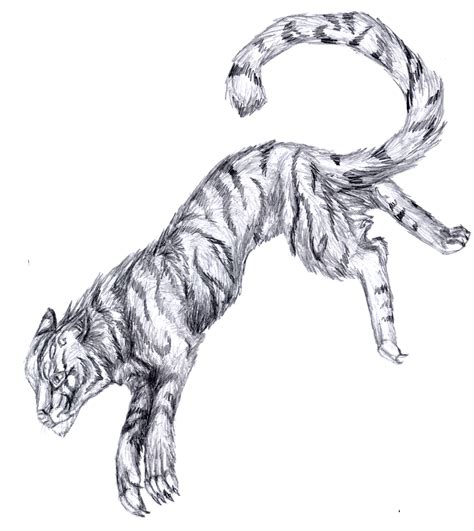 Tiger Doodle By Ashlynper On Deviantart