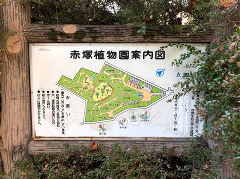 赤塚植物園は入園料無料で花撮りまくり | 花撮影技術&植物園紹介:花のブログ