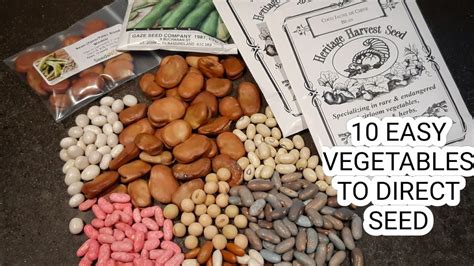 10 Easy Vegetable Seeds To Direct Sow Youtube