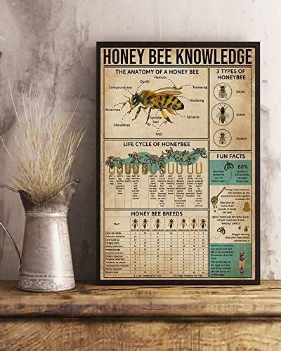Honey Bee Knowledge The Anatomy Of A Honey Bee Life Cycle Of Honeybee