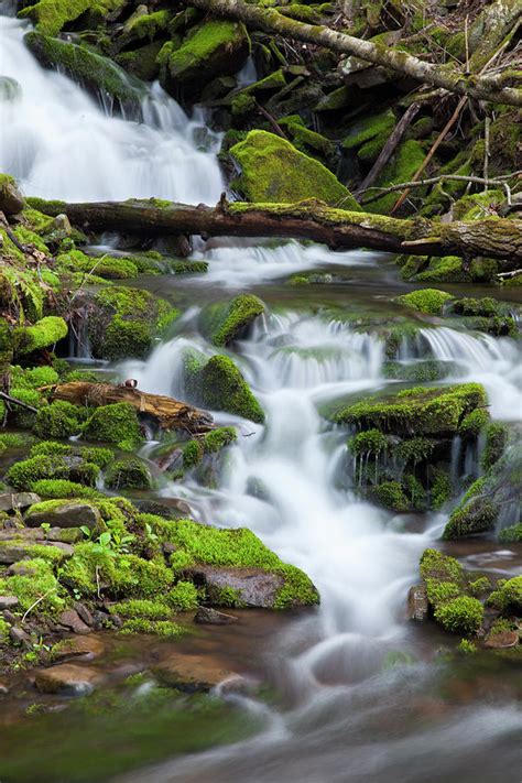 Den er spillefilm med en spilletid på 1h 18min. Mossy Mountain Stream Spring Waterfall Cascade Photograph ...