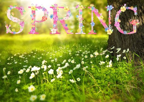 First Day Of Spring 2020 Celebrate An Early Spring Equinox The Old