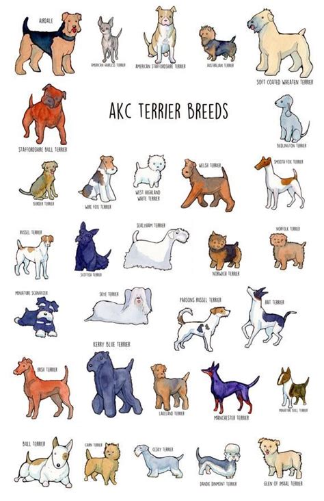 Poster Of Akc Terrier Group Etsy Dog Breed Poster Cute Cats And