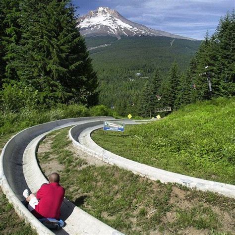 The Alpine Slide Near Portland That Will Take You On A Ride Of A