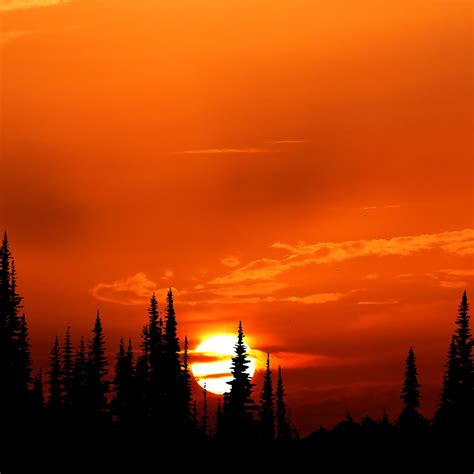 2048x2048 Relaxing Orange Sunset Evening 4k Ipad Air Hd 4k Wallpapers