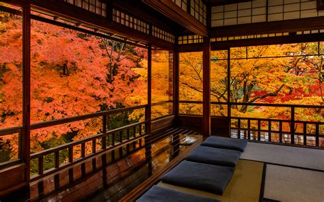 Kyoto Photo Fall Colors From Inside Ruriko In Temple Inside Kyoto
