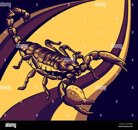 Illustration Von Skorpion Arachnid Insekt Vektorgrafiken Stock
