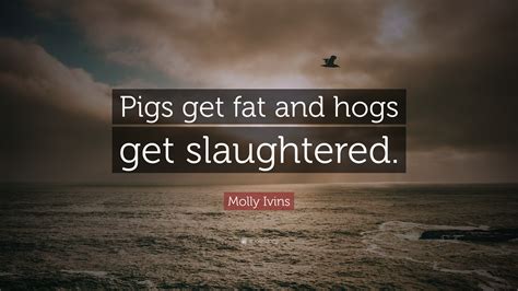 Molly Ivins Quote “pigs Get Fat And Hogs Get Slaughtered”