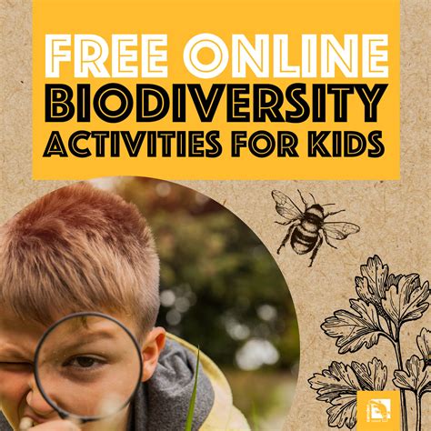Educate Your Kids With Biodiversity Activities Camden Council