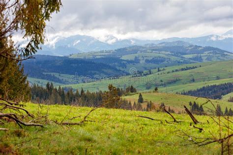 Mountain Landscape Of Spring Carpathians In Early Spring With Low