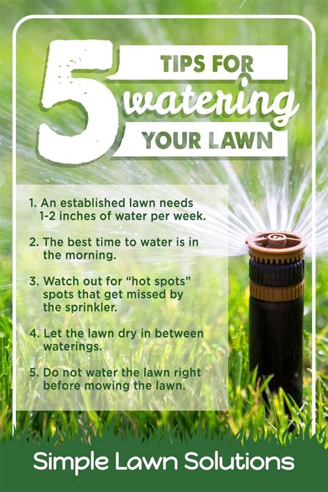 5 Tips For Watering Your Lawn Artofit