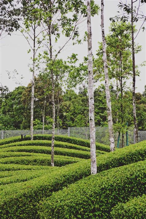 Pinewood studios eyes rm3.8b projects by 2020. Projects - Pinewood Iskandar Malaysia Studios | SD2 ...