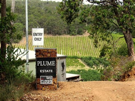 8 Of The Best Wineries Near Perth