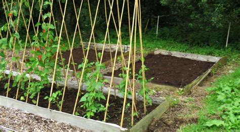 An Easy Way To Start A New Veg Patch