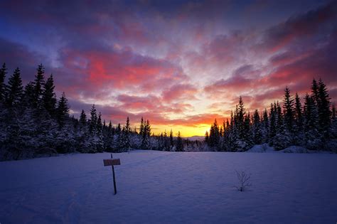 Fotos Von Natur Winter Wald Himmel Schnee Sonnenaufgänge Und