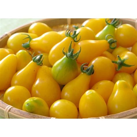 Pear Yellow Tomato Seeds Seedarea