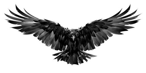 contrails ravens plane and pilot magazine