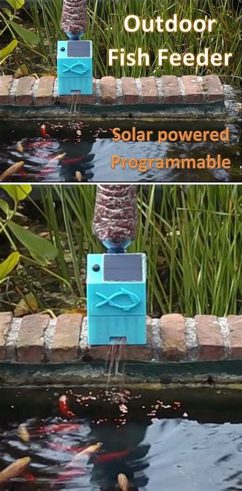 Set timers to feed your pets automatically later at any time. Outdoor Fish Feeder - Solar Powered | Fish feeder, Diy pond, Outdoor ponds