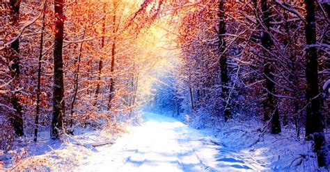 Widescreen Winter Images All Hd Wallpapers