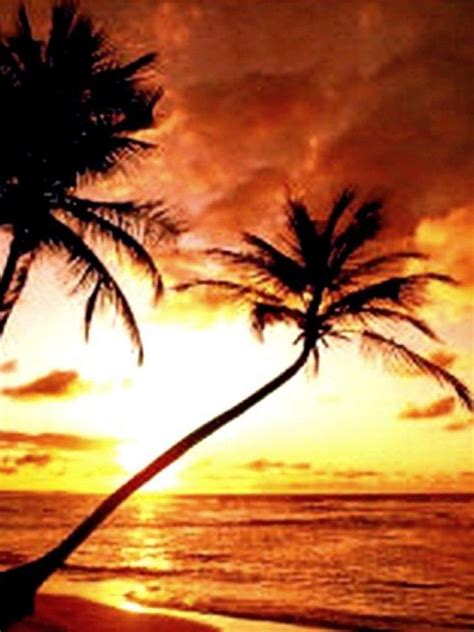 Free Download Tropical Beach Sunset Wallpaper 23482 Hd Wallpapers