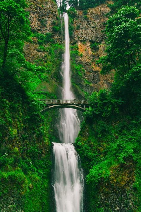 Multnomah Falls Oregon Tourism Mountain Waterfall Cascade Bridge