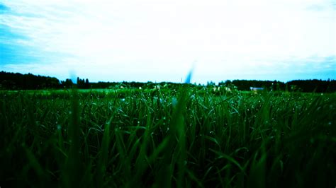 Wallpaper Sunlight Landscape Nature Reflection Sky