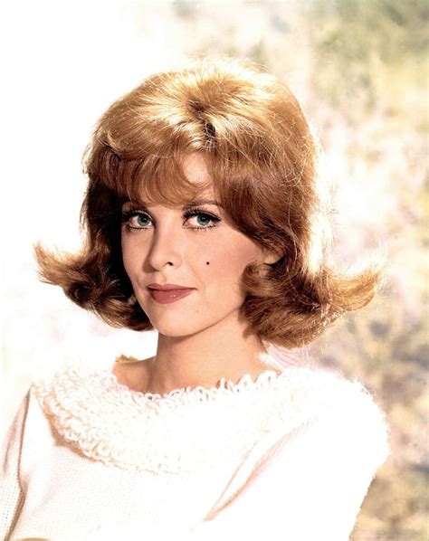 11 early photos of tina louise before she became ginger grant on gilligan s island tina