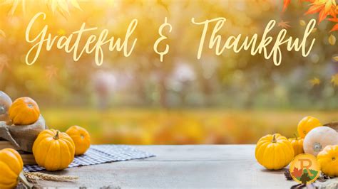10 Friends Thanksgiving Zoom Backgrounds To Transport You To So Many
