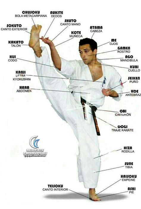 Artes Marciais Martial Arts Weapons Karate Martial Arts Martial Arts