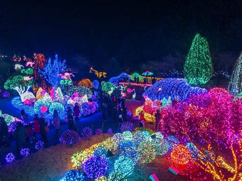 How To See The Garden Of Morning Calm Lighting Festival In Winter