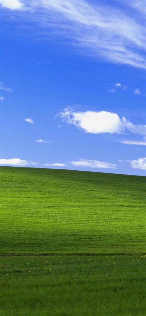 1125x2436 Windows Xp Bliss 4k Iphone Xsiphone 10iphone X Hd 4k