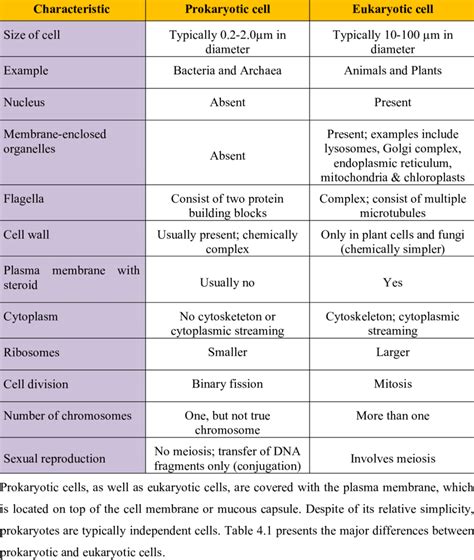 Principal Differences Between Prokaryotic Cells And Eukaryotic Cells