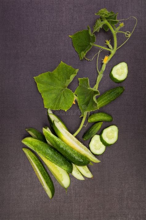 Fresh Sliced Cucumbers Stock Image Image Of Piece Organic 97152925