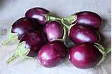 Eggplant Indian Recipe Images
