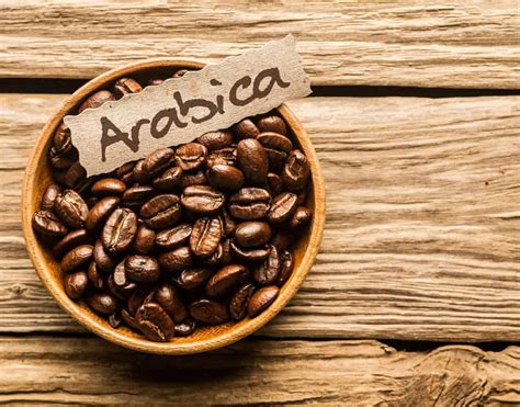 What Are The Best Costa Rica Coffee Tours? - Tico Travel