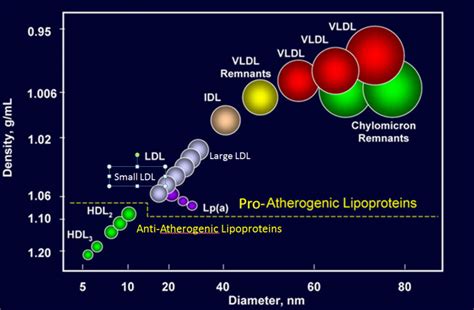 Hdl Vs Ldl Structure