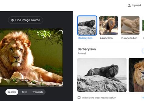 How To Do A Reverse Image Search Of Instagram Pictures