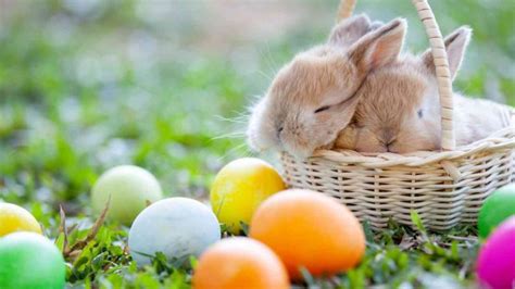 Easter 2023 Date History Facts About Easter Holiday