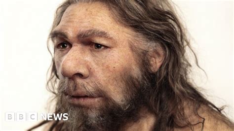 Dna Points To Neanderthal Breeding Barrier Bbc News