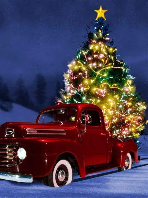 Hauling The Christmas Tree In Style In A Sharp Old Truck Vintage