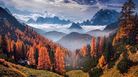 3840x2160 Forest Landscape Clouds 4k 4k HD 4k Wallpapers, Images, Backgrounds, Photos and Pictures