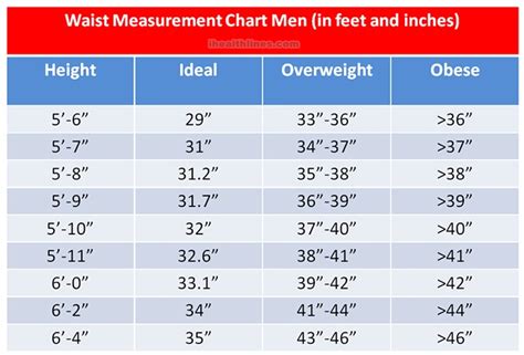 Average Waist Size For Men And Women Comprehensive Guide
