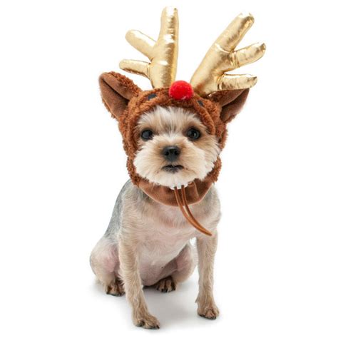 Dogo Rudolph Dog Hat With Same Day Shipping Baxterboo