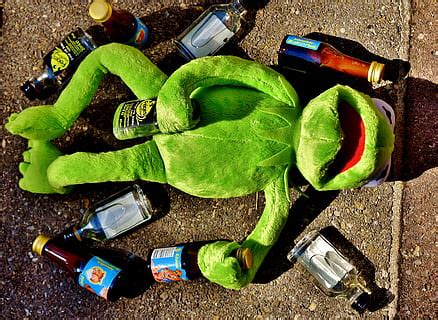 Kermit The Frog Drinking Beer