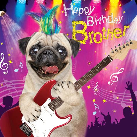 Image Result For Happy Birthday Brother Happy Birthday Pug Funny