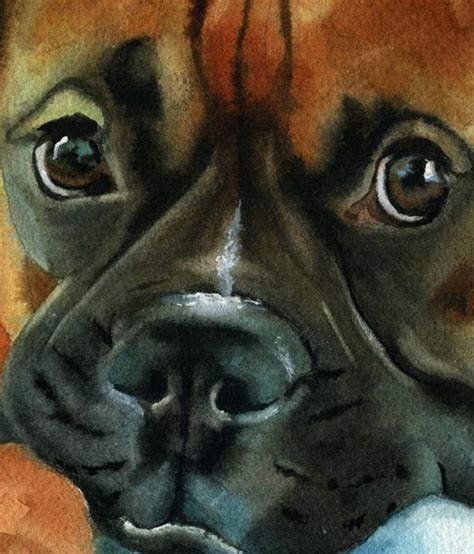 Boxer Dog Art Print Of My Watercolor Painting Boxer Baby Etsy